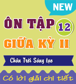 Ôn tập Giữa kỳ II (CTST_HH12)